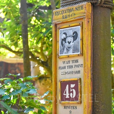 ミッキー＆フレンズ・グリーティングトレイルのぬいぐるみバッジ