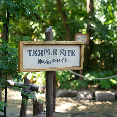 ミッキー＆フレンズ・グリーティングトレイルの神殿調査サイトの看板