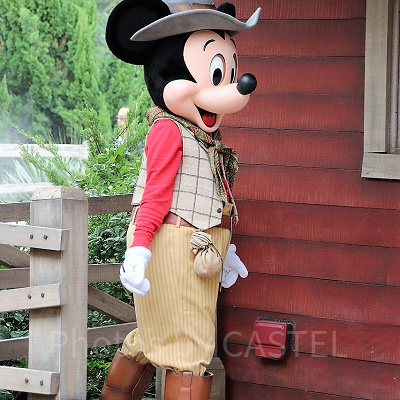 グリズリーガルチのミッキー