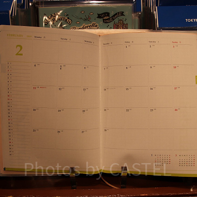 ミッキー＆ミニー内容