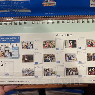 卓上カレンダーミッキーマウスと仲間たち（実写）