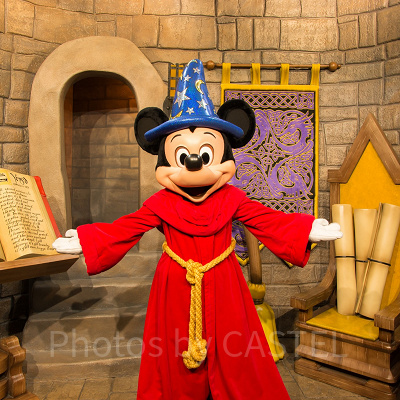 ミッキーマウス！<br />（東京ディズニーランドの写真ではありません。）