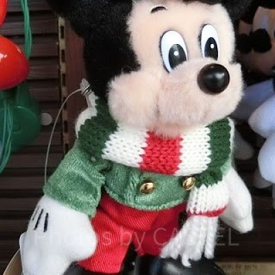 ミッキーぬいば