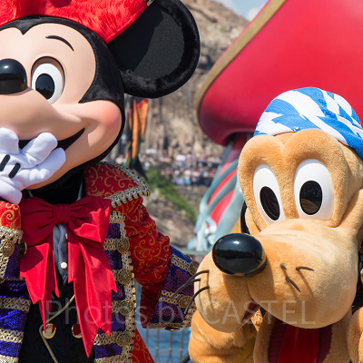 ミッキー＆プルート<br />ザ・ヴィランズ・ワールド2015より