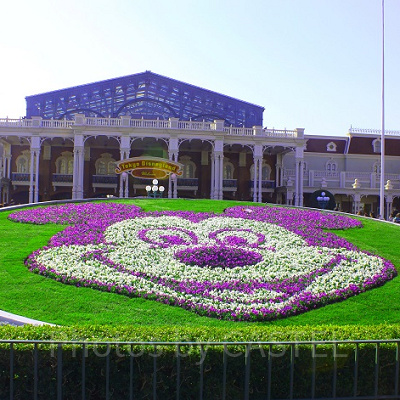 季節によって変わるミッキーの花壇