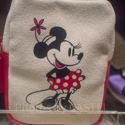 ミニーミニポーチ（キャンパス地）