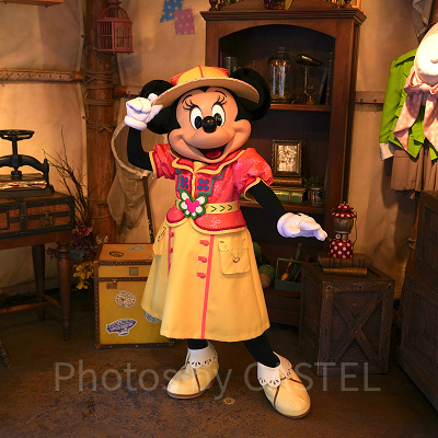 グリーティングトレイルのミニー