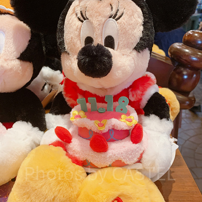ミニーぬいぐるみ