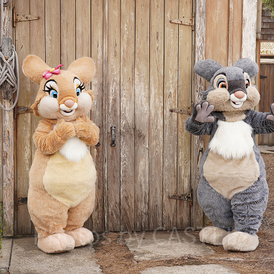 ミスバニーととんすけ