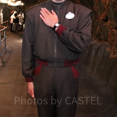 モビリス・モビリのポーズ