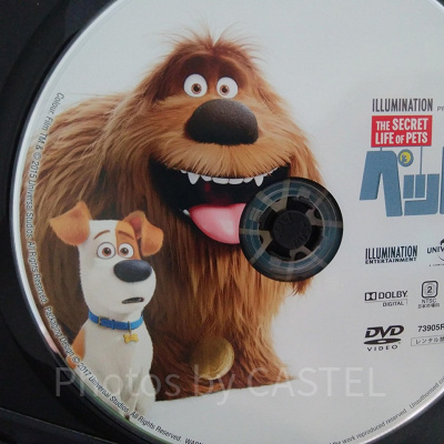 映画『ペット』