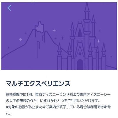 マルチエクスペリエンス| キャステル | CASTEL ディズニー情報