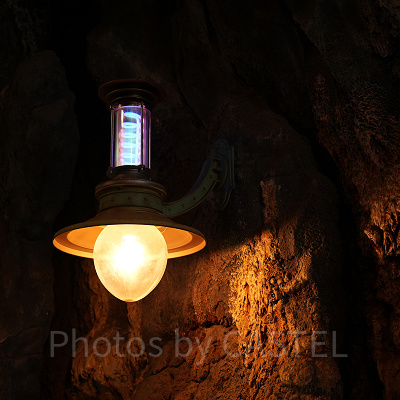 最近の愛称はジャーニー！