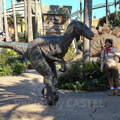 マイフレンドダイナソー