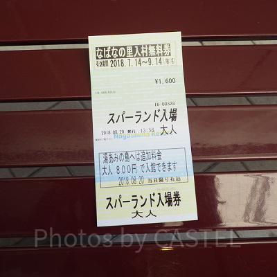 ナガシマスパーランドチケット