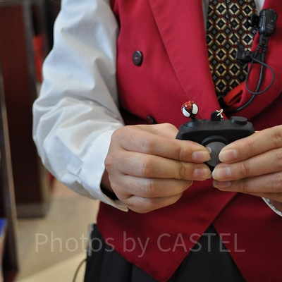 一眼レフカメラは必要？