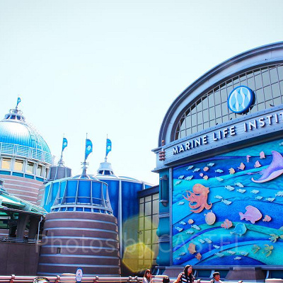 ニモ＆フレンズ・シーライダー