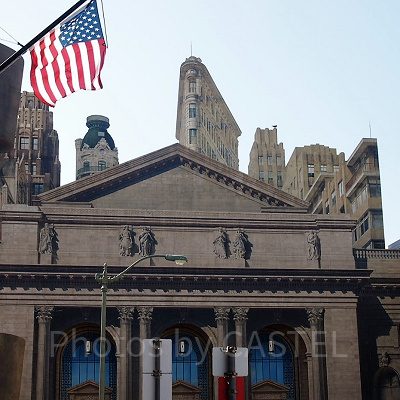 ニューヨーク・エリア