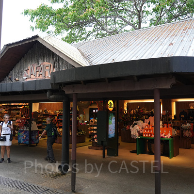 ナイトサファリ：お土産ショップ