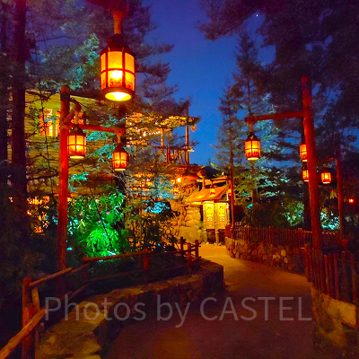 キャンプ・ウッドチャックの夜景