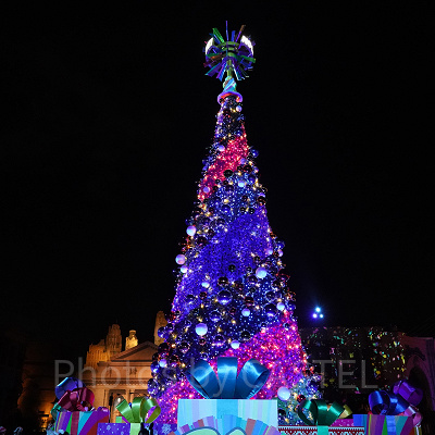 NO LIMIT!ツリー（夜）