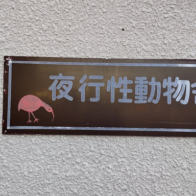 キーウィが暮らす「夜行性動物舎」