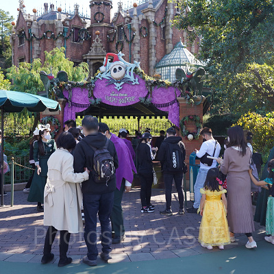 11月ディズニーランド混雑レポ：ホーンテッドマンション