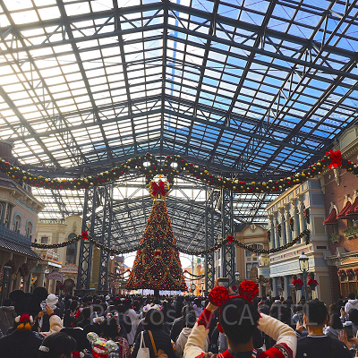 11月ディズニーランド混雑レポ：ワールドバザールのクリスマスツリー(8:20)
