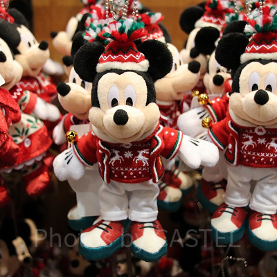 ぬいば　ミッキー