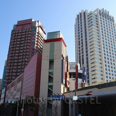 オフィシャルホテル