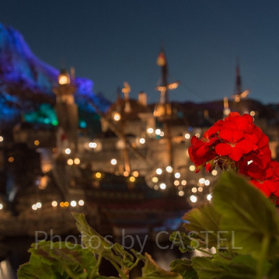 ロマンチックなスポット