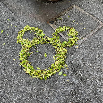 ディズニーデートは喧嘩になる？