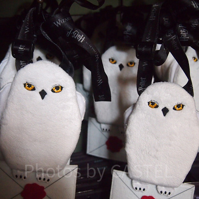 ふくろう便ヘドウィグパスケース