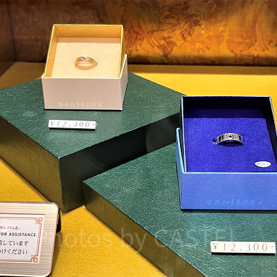 ペアリング（美女と野獣）