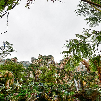 Pandora - The World of Avatar エントランス　<br/>設定：16㎜ SS1/100 F10 ISO100