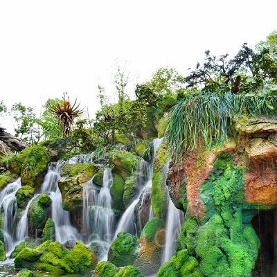 Pandora - The World of Avatar 滝（アニマルキングダム・昼）<br /> 設定：16㎜ SS1/3 F20 ISO100 