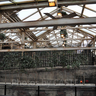 キャッスルウォーク入り口までの通路