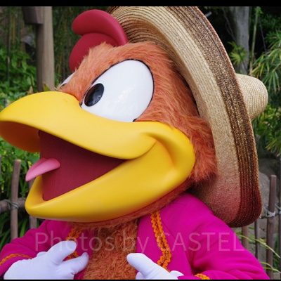 パンチートの性格