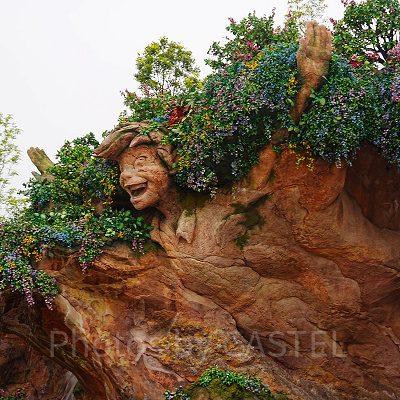 ピーターパン、ティンカーベルのロックワーク