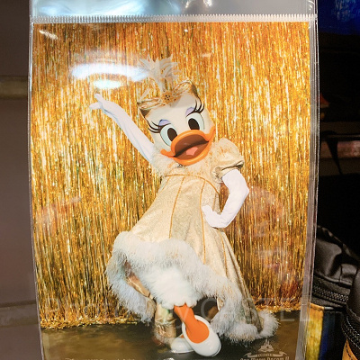 写真（デイジー）