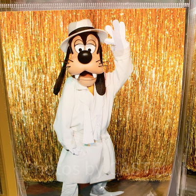 写真（グーフィー）