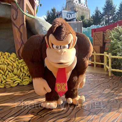 ドンキーコングの家でのフォトオポチュニティ