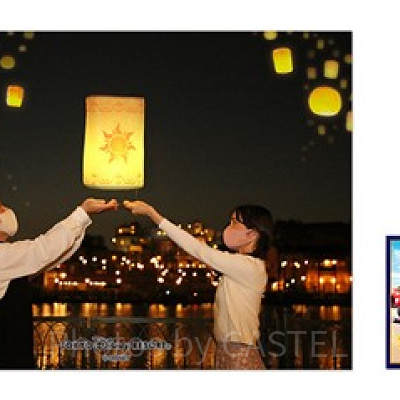 フォトグラファーが撮影した写真