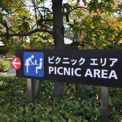 ピクニックエリアの看板