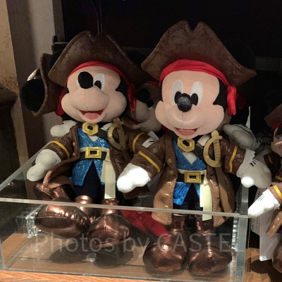 海賊ミッキー！とにかくカッコイイです！