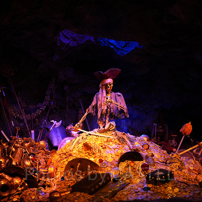 カリブの海賊とは