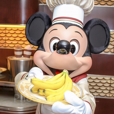 マイ・アニバーサリーストーリーのプラン内容