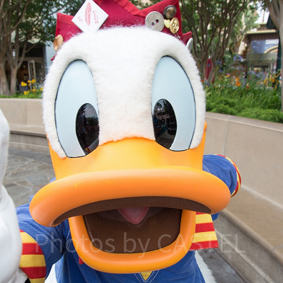 ディズニープラスを解約する時に注意して欲しいポイント