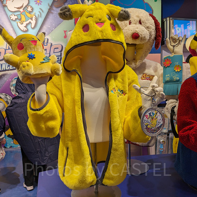 ポケモンの冬アイテム/USJ