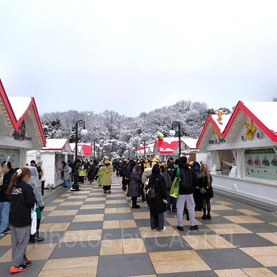 ポケパークカントー/トレーナーズマーケット